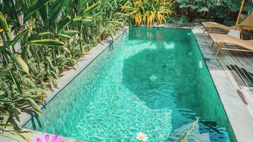 A rectangular swimming pool with clear water, surrounded by lush tropical plants and wooden lounge chairs.