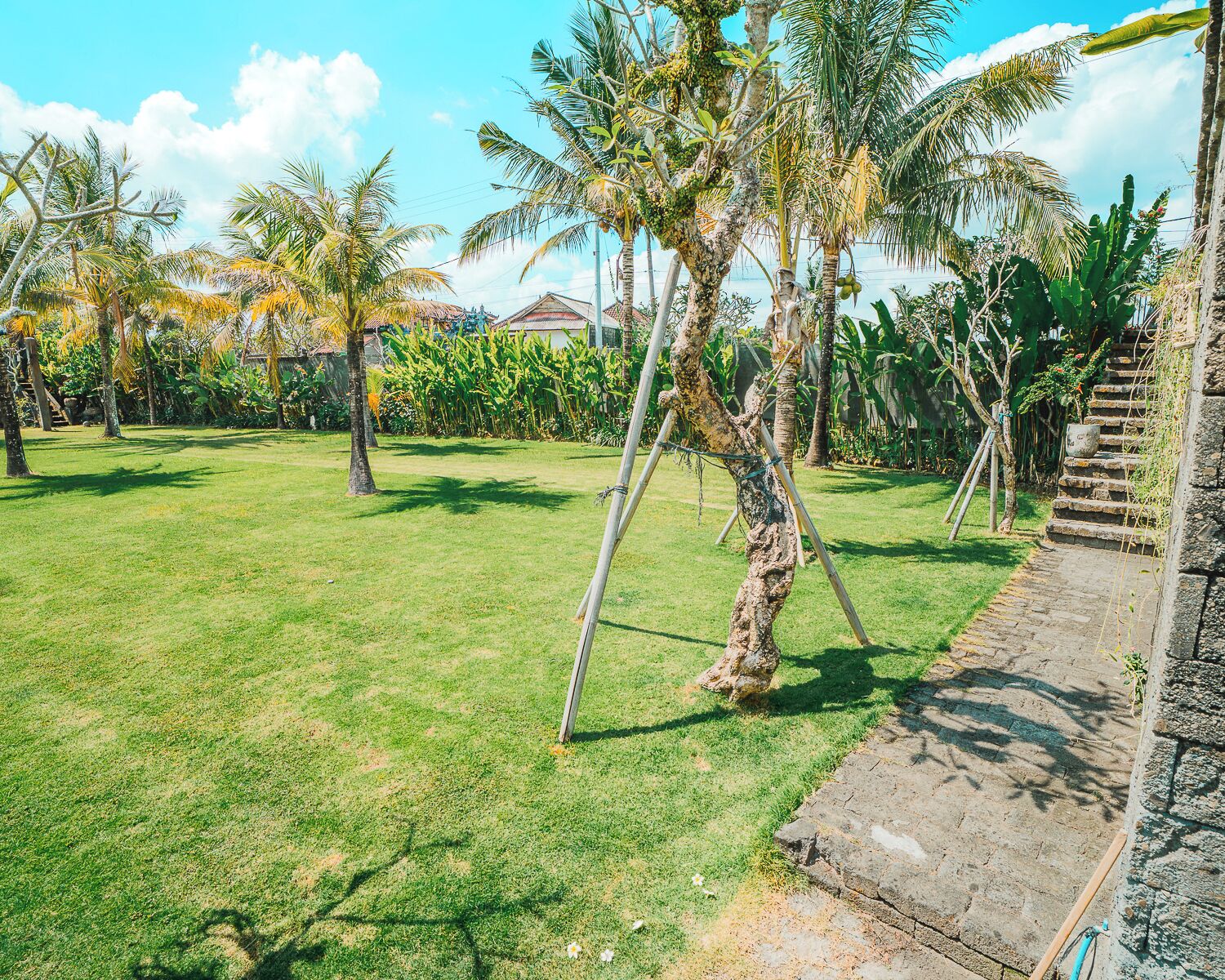 A grassy area with palm trees and a stone staircase.