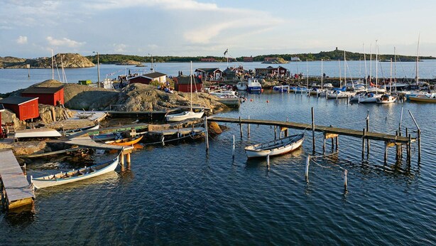 A harbor with boats docked, a pier, and buildings in the background. - 4 Star Holiday Home in Branno (Branno)