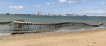 Spacious house in Saint-Brevin, near the sea