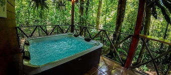 Cabin in the forest near La Fortuna de San Carlos