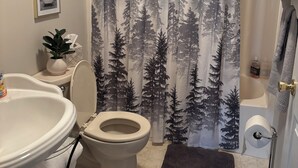 Bathroom - Charming 3-bedroom farmhouse with WiFi, Heat AC in wonderful Stonefort Illinois. (Stonefort)