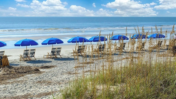 Una playa con sombrillas azules y sillas de playa.