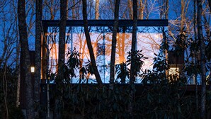 A modern building with a glass facade, surrounded by trees and a night sky.