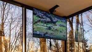 A bedroom with a large TV mounted on a glass wall, reflecting trees and a building outside.