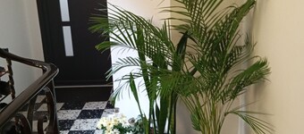 Apartment T2 55 M2 the cradle of kirneck in downtown Barr,â€ïž