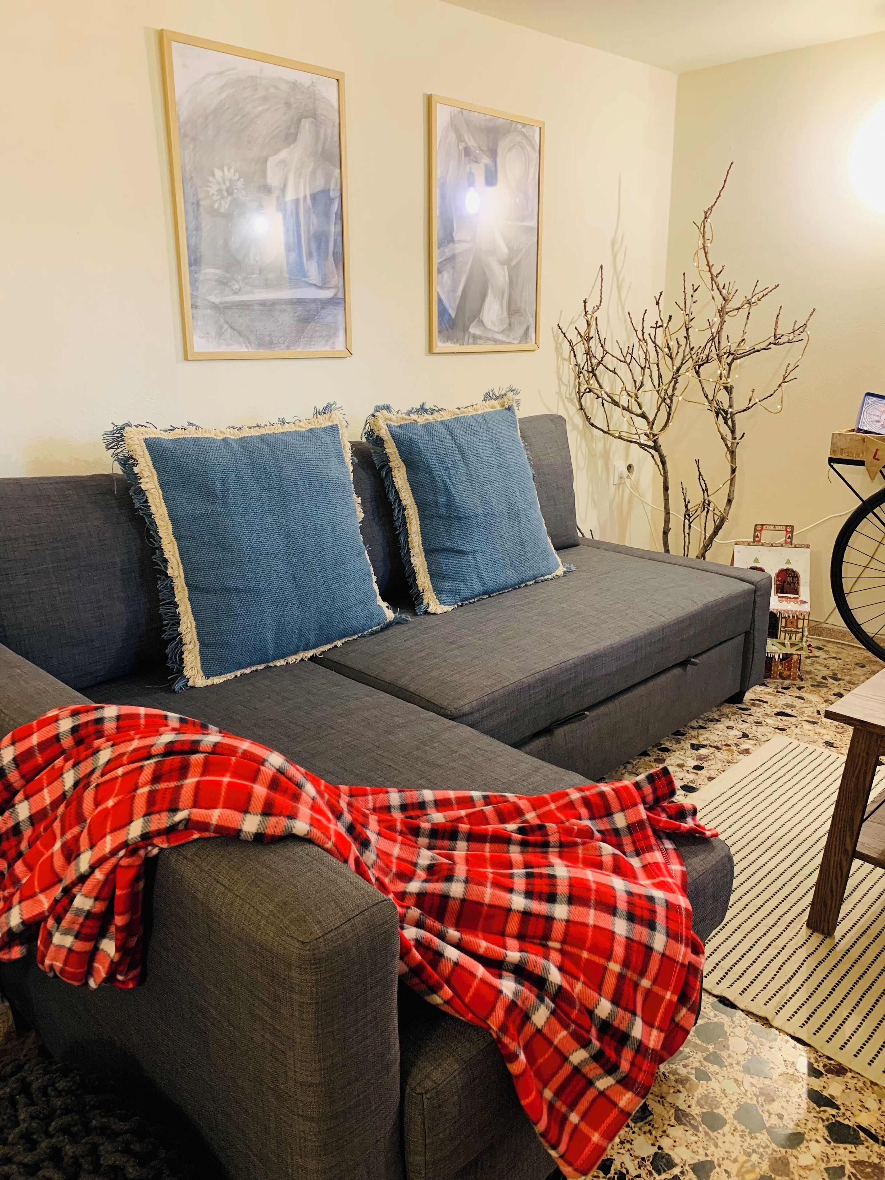 Una sala de estar con un sofá gris, dos almohadas azules, una manta a cuadros rojos y dos cuadros enmarcados en la pared.