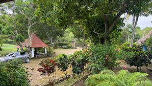 Un jardín con un pabellón, un coche y diversas plantas.