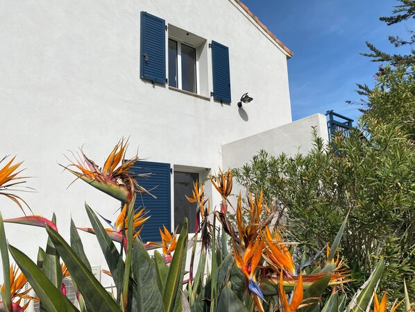 Exterior detail - Les Mûriers - "Pinu" (Calvi)