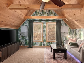 Smart-TV, Kamin