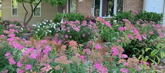 Charming 3-bedroom home in Mt Pleasant near colleges, Casino and children parks
