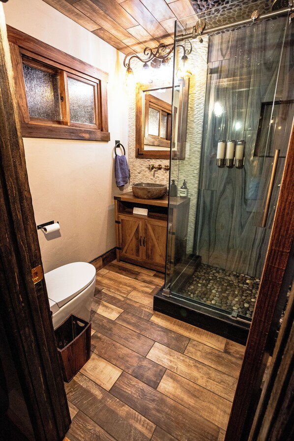 Shower, hair dryer, bidet, towels