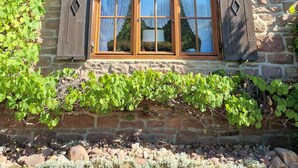 Un bâtiment rustique en bois, doté de fondations en pierre, avec trois fenêtres équipées de volets et un mur recouvert de vigne.