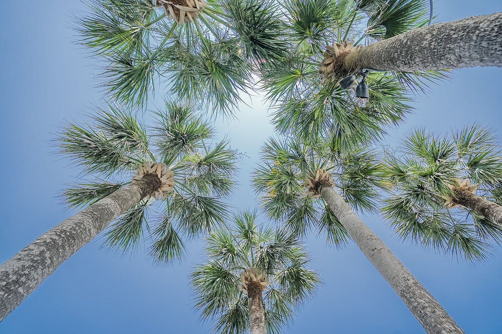 Royal Palms Motel