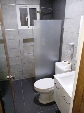 Secador de cabelo, toalhas de banho, papel higiênico 