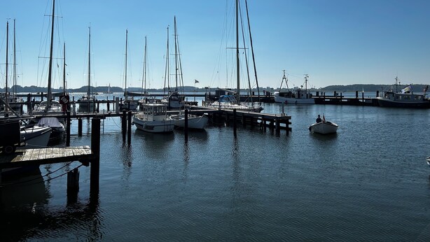 A marina with multiple boats docked at wooden piers. - Fisherman's chic "Die Bude" at the port of Maasholm (Maasholm)