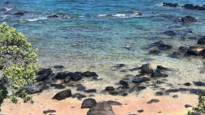 Una playa con agua cristalina, rocas y vegetación.