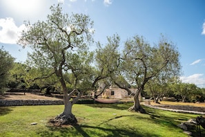 A garden with mature trees, a stone wall, and a building in the background. - Villa Sopra i Sassi (Ostuni)