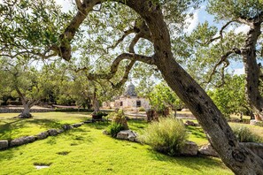 Exclusive Apartment, 4 Bedrooms, Kitchen, Resort View | View from room - Villa Sopra i Sassi (Ostuni)