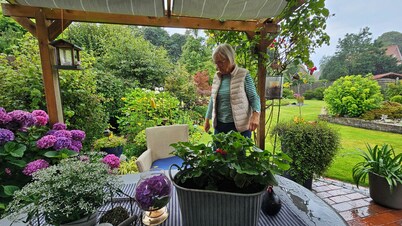 Quiet vacation apartment in the heart of Norden - central and cozy