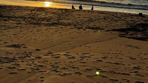 A beach with footprints leading to the water, a sunset, and a clear sky. - 1 Bedroom Areia Branca Beach (Lourinhã)