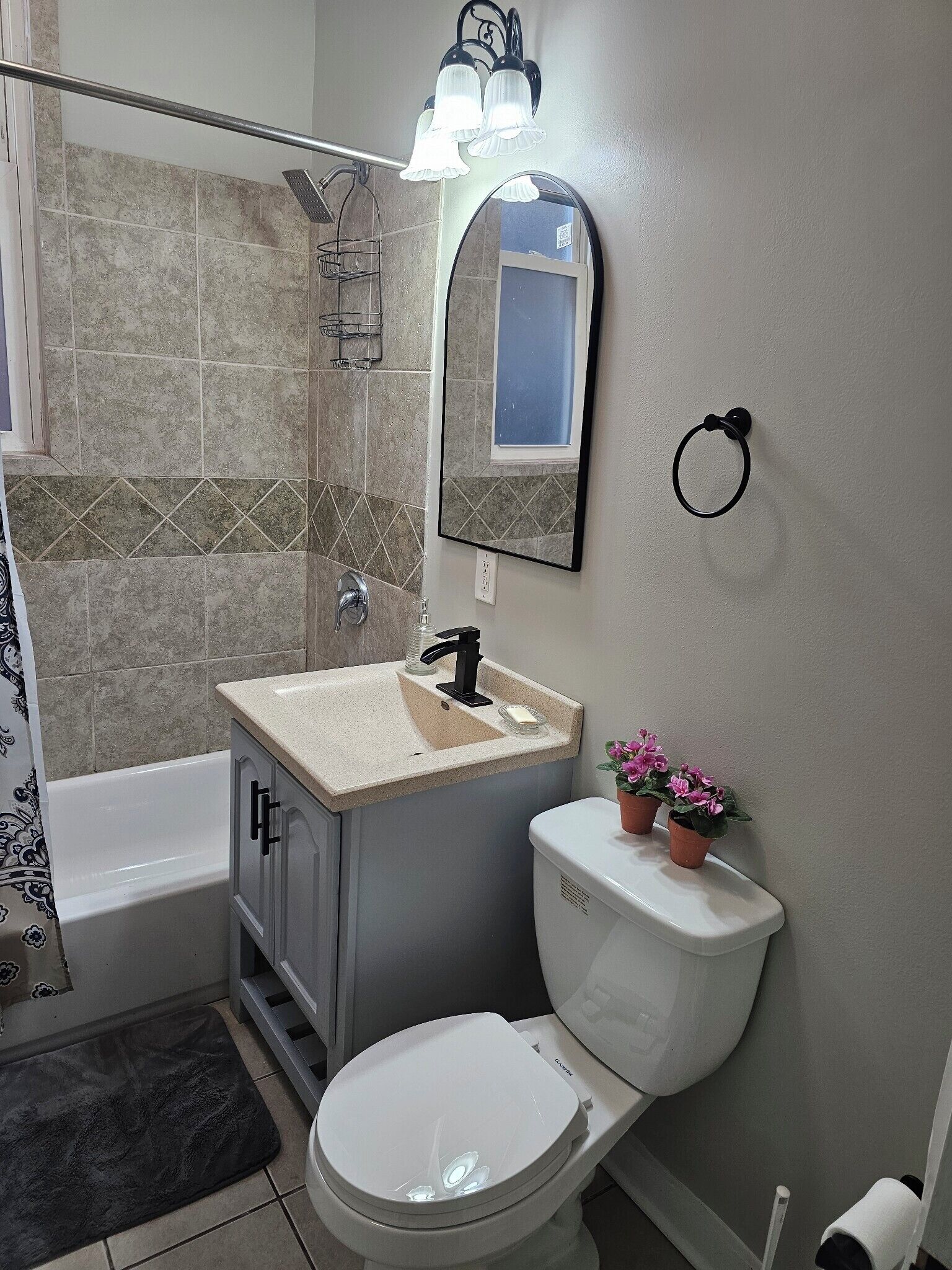 Secadora de cabello, toallas, jabón, papel de baño 