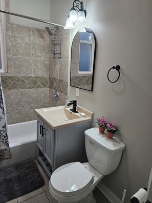 Hair dryer, towels, soap, toilet paper