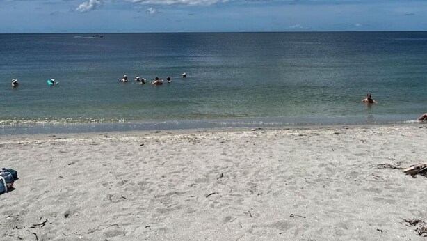 A beach with clear skies and calm water. - Charming Lakeview Home, Heated Saltwater Pool, WiFi, All New Furniture (Venice)