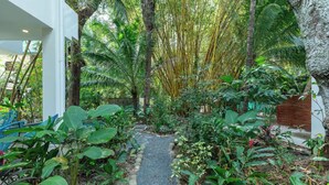 Un sentier de jardin bordé de plantes tropicales et de bambous.
