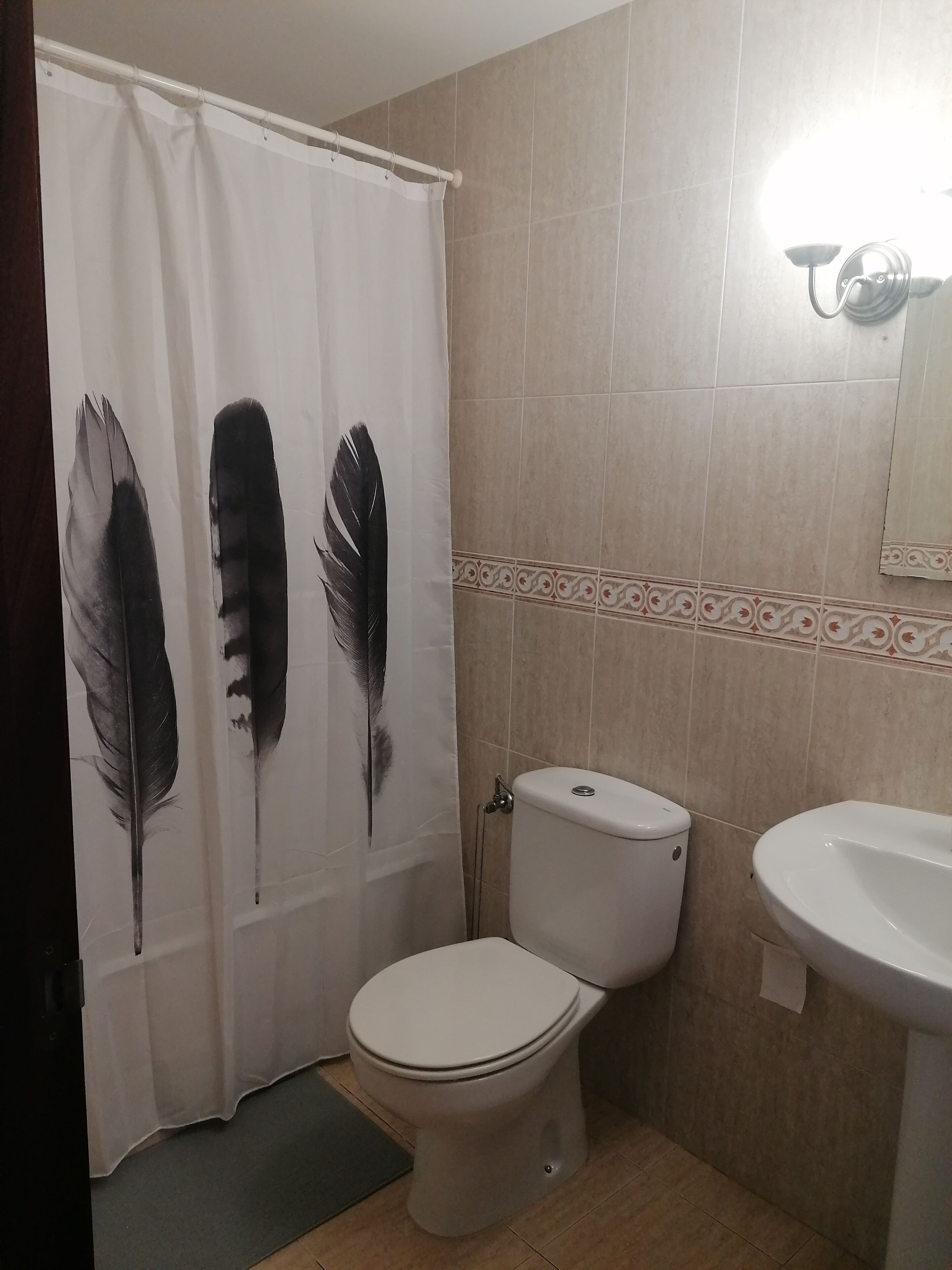 Hair dryer, bidet, towels, soap