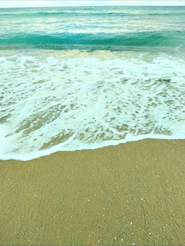 Beach - CAMPECHE HOUSE NEAR THE BEACH PRIVATE SPACE (Morro das Pedras Florianópolis)