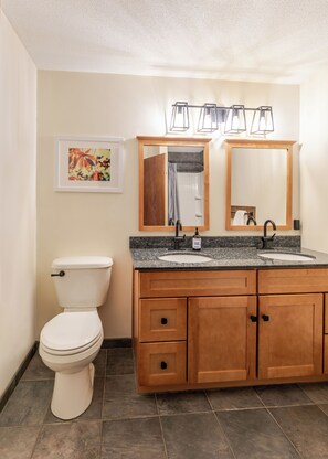 Shower, hair dryer, towels, toilet paper