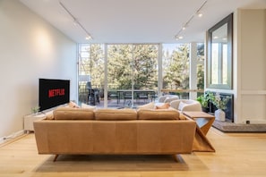 TV, fireplace, offices
