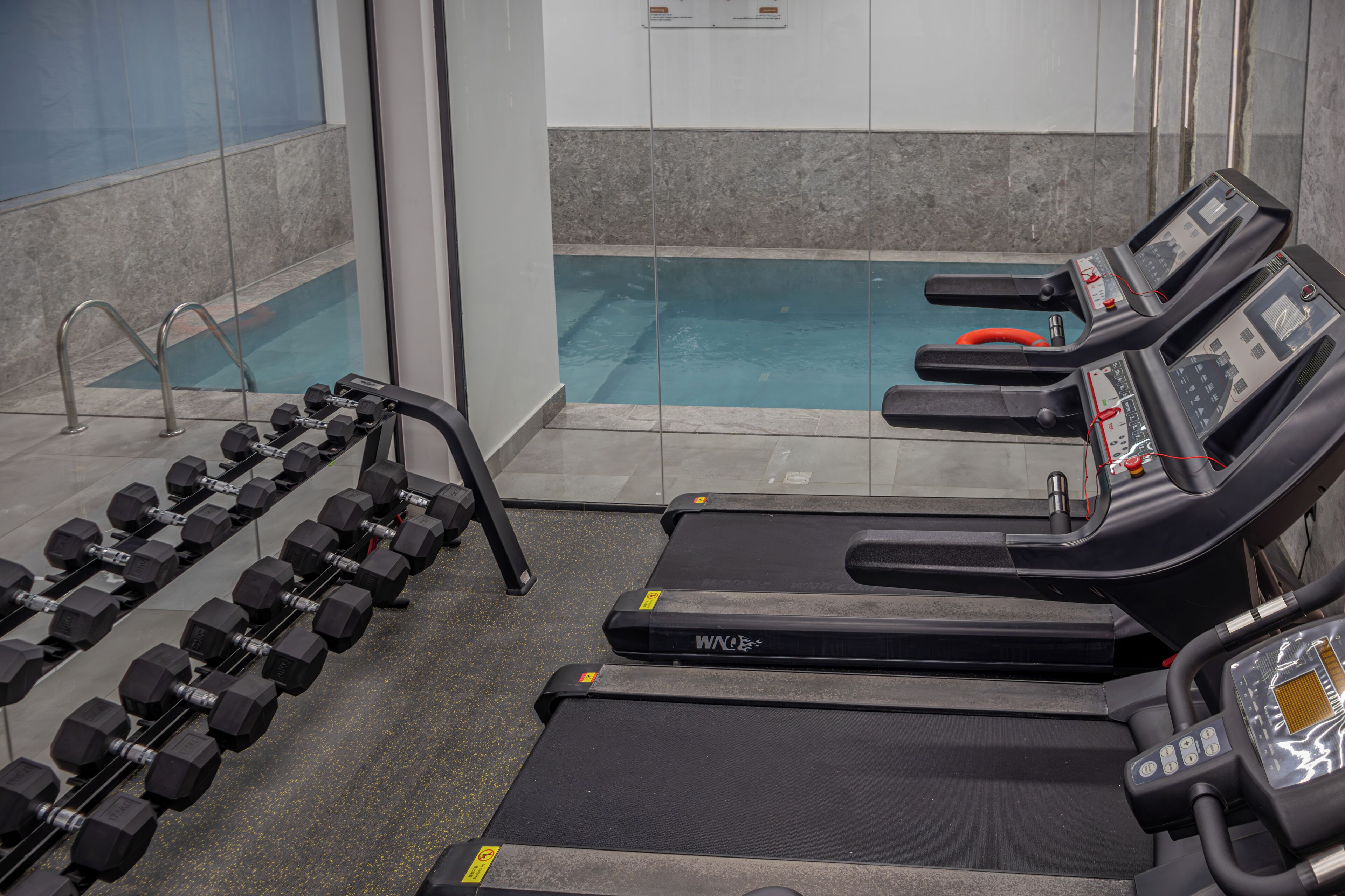 A gym with treadmills, dumbbells, and a pool.