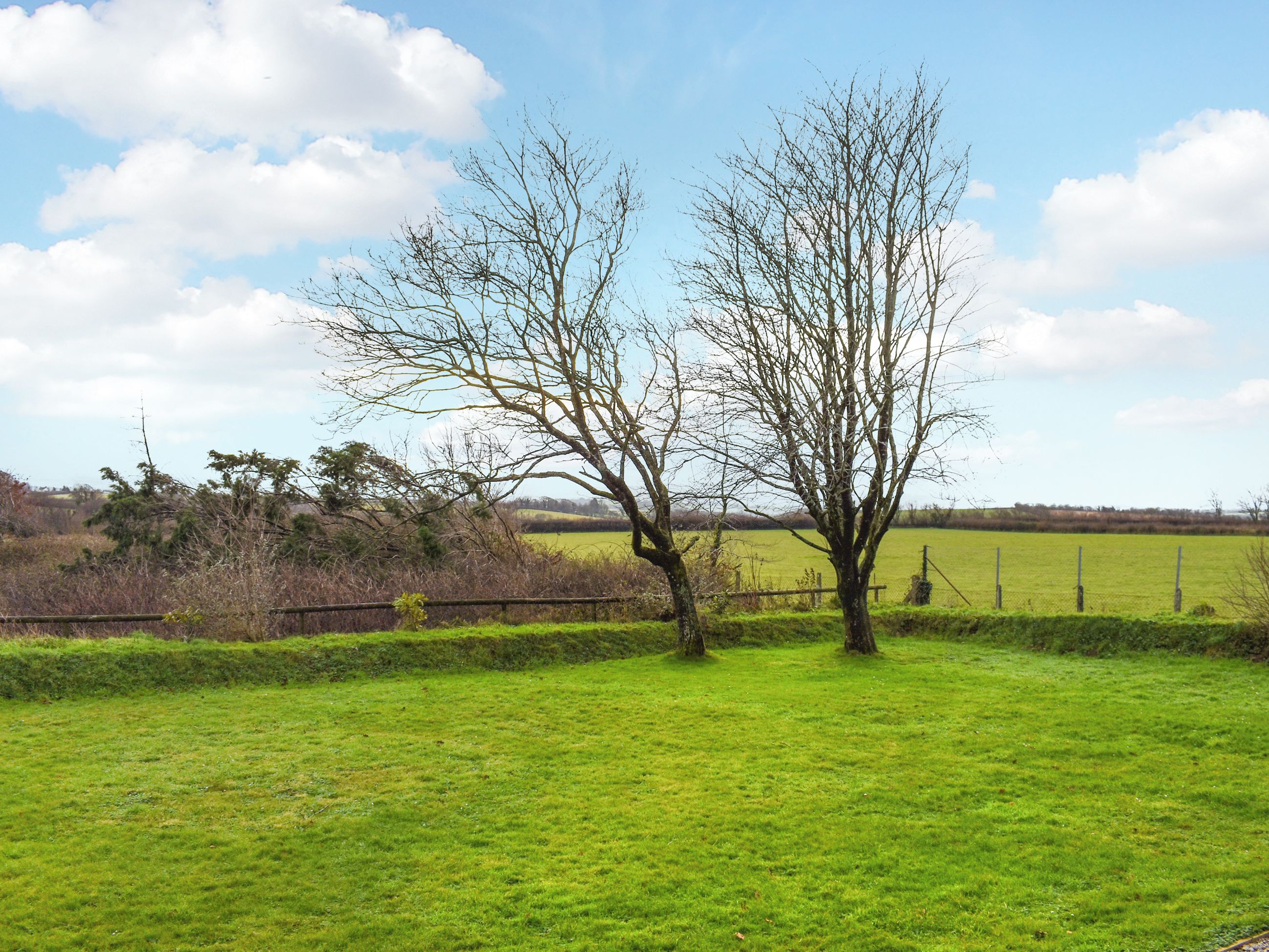 Een landelijk landschap met een enkele boom in een grasveld, een hek op de achtergrond en een heldere lucht.
