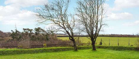 A rural landscape with a single tree in a grassy field, a fence in the background, and a clear sky.