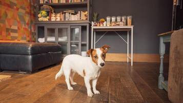 Kamar Double Basic, patio | Area keluarga | Televisi layar datar 65-inci dengan saluran TV digital dan Netflix