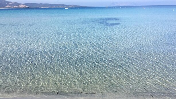 A clear, shallow sea with a sandy beach and distant buildings. - SUMMER ROOM (Siniscola)