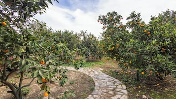 Vue sur le jardin
