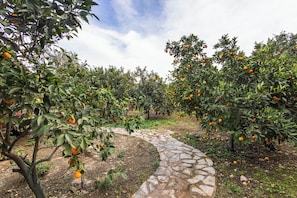 Appartement Confort, 2 chambres, cuisine, vue jardin | Vue sur le jardin