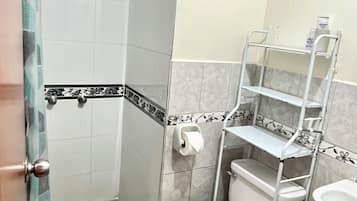 Secador de cabelo, toalhas de banho, sabonete, papel higiênico