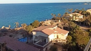 Una propiedad costera con piscina, palmeras y vistas al mar.