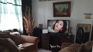 Un salon avec deux canapés marron, un téléviseur, un tableau encadré au mur et une petite table sur laquelle se trouvent un vase et un cadre photo.