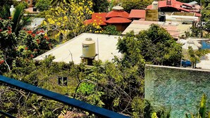 Un quartier résidentiel situé sur la côte, avec des maisons, dont certaines ont des toits rouges, entourées de verdure et de palmiers.