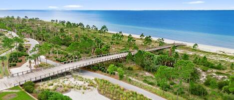 A coastal landscape with a wooden boardwalk leading to a beach, surrounded by lush greenery and a clear blue sky.
