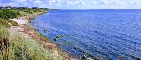 House | Water view