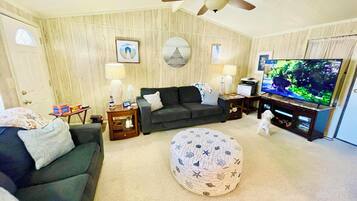 TV connectée, cheminée, livres, imprimantes