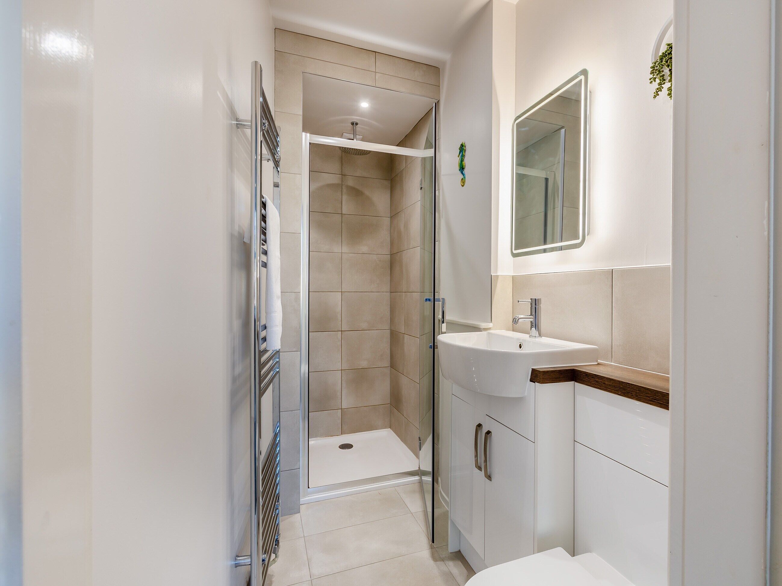 A modern bathroom with a glass shower enclosure, a white sink, and a mirror above the vanity.