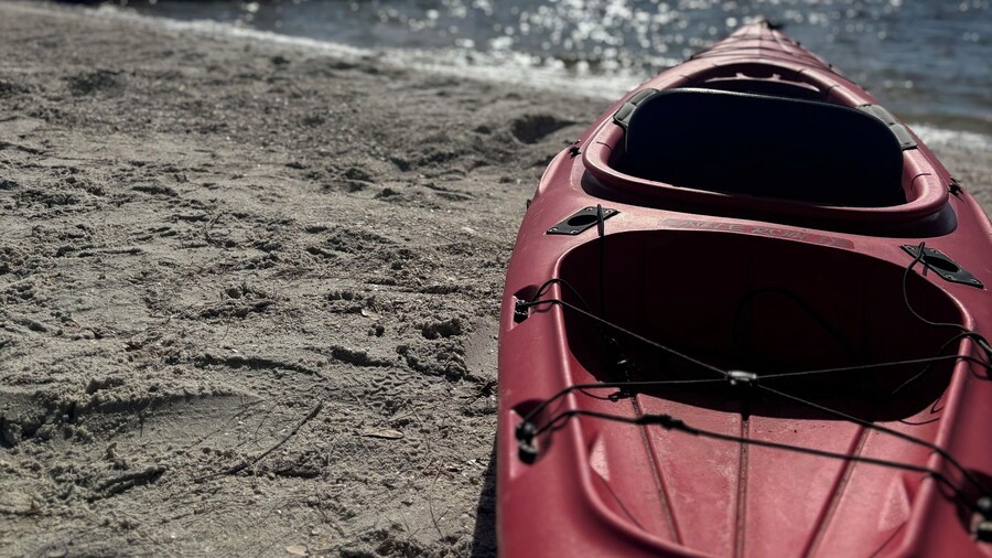 Sip And Sea