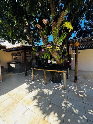 Parco della struttura